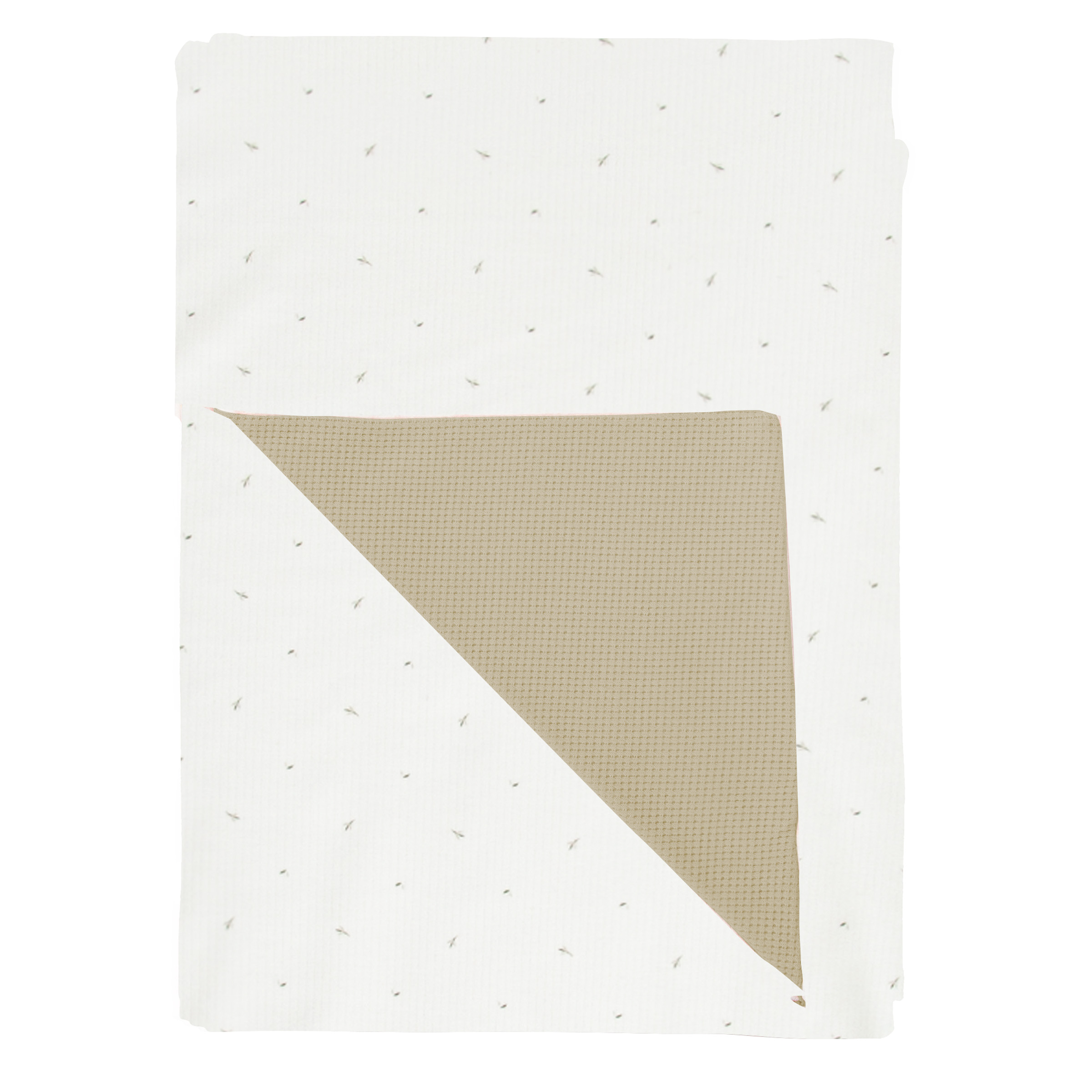 Cornelia Blanco Verde